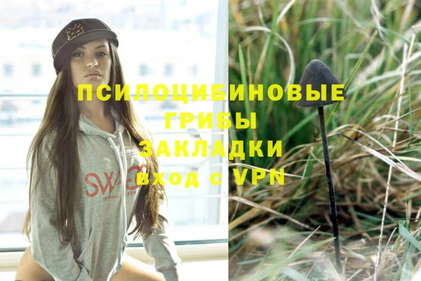 прущие крисы Баксан