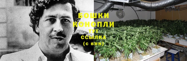 прущие крисы Баксан