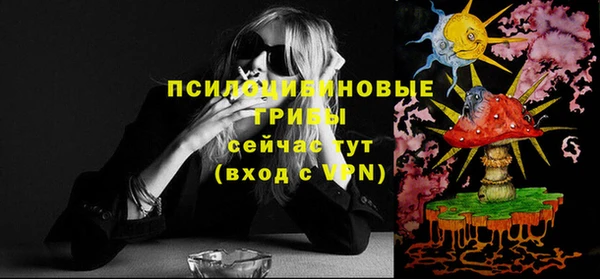 твердый Балахна